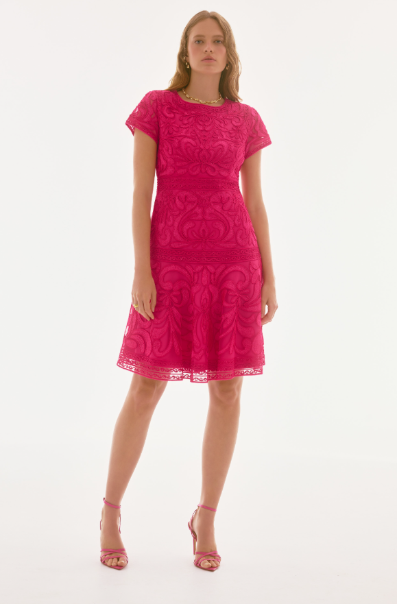 Embroidered Mesh Fit and Flare Dress - Marine