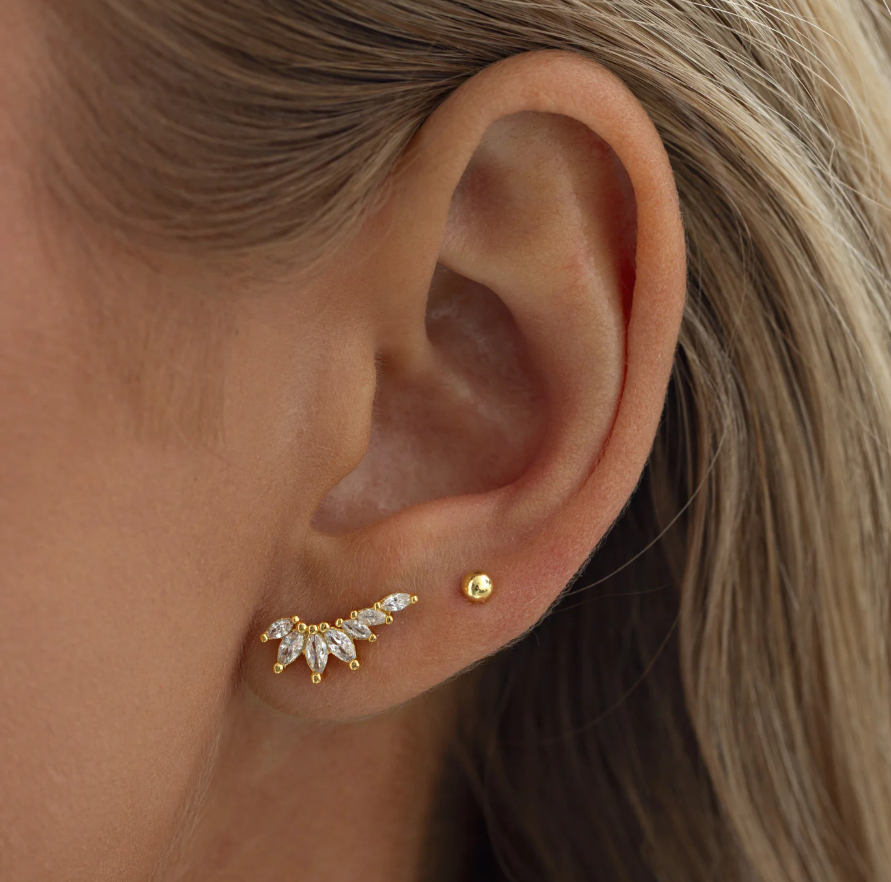 Zubi - Crystal Leaf Ear Climber Earrings